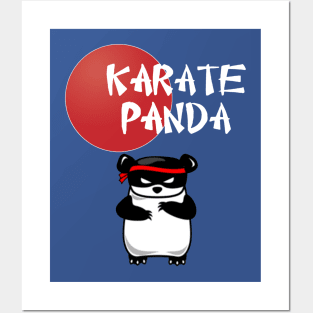 karate panda Posters and Art